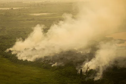Incêndio florestal que atige o Pantanal.
Foto: Joédson Alves/Agência Brasil