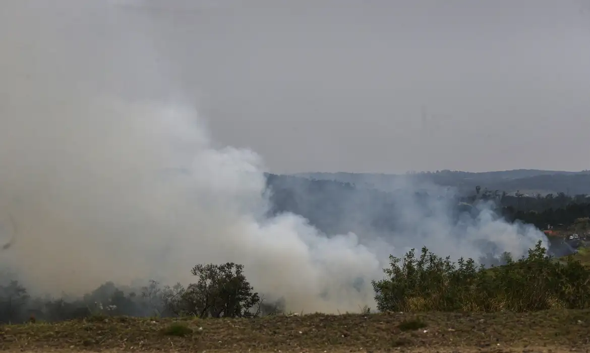 Estão sendo monitoradas com alerta máximo 46 cidades e 21 delas têm focos ativos de fogo - Foto: Paulo Pinto / Agência Brasil