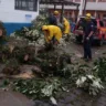 Equipes trabalham na remoção de árvores em Bento Gonçalves - Foto: Reprodução/Instagram