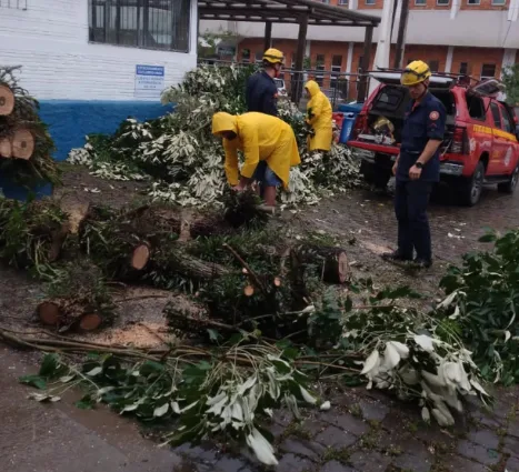 Equipes trabalham na remoção de árvores em Bento Gonçalves - Foto: Reprodução/Instagram