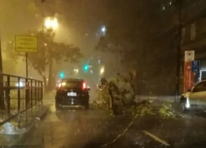 Forte temporal em Porto Alegre, RS, com chuva intensa e vento, árvores caídas na rua e veículos parados sob condições climáticas adversas.