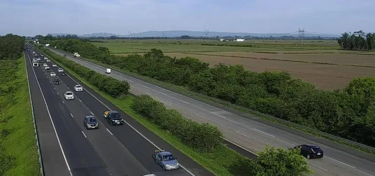 Trecho da FreeWay - Foto: CCR ViaSul/Divulgação