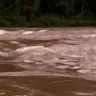 A cheia do rio Forqueta afeta comunidades. Imagem mostra águas turbulentas, na cor marrom, com vegetação ciliar ao fundo.