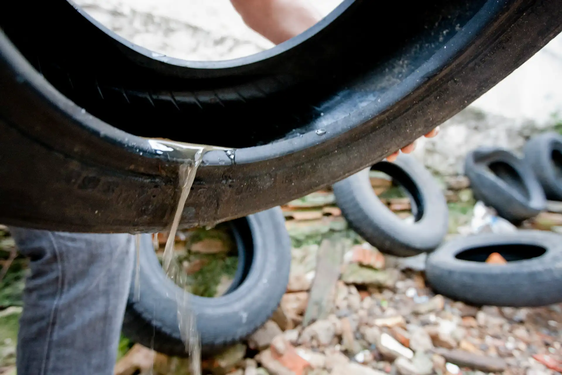 Pessoa segurando um pneu enquanto água escorre dele em um local com outros pneus descartados. Situação é propícia a proliferação do mosquito Aedes Aegypti, que causa da dengue.