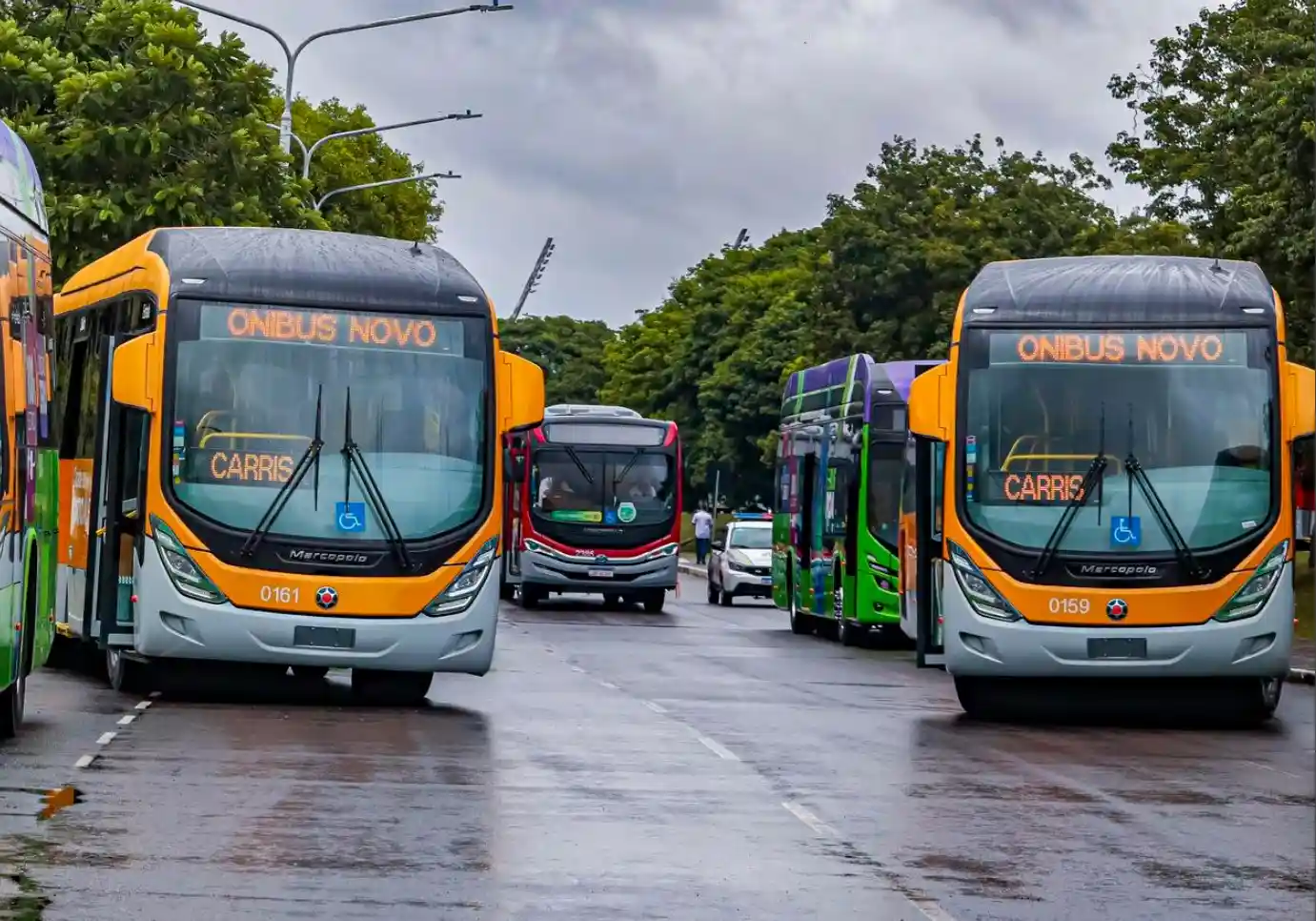 Imagem de dois novos ônibus superarticulados da Carris.