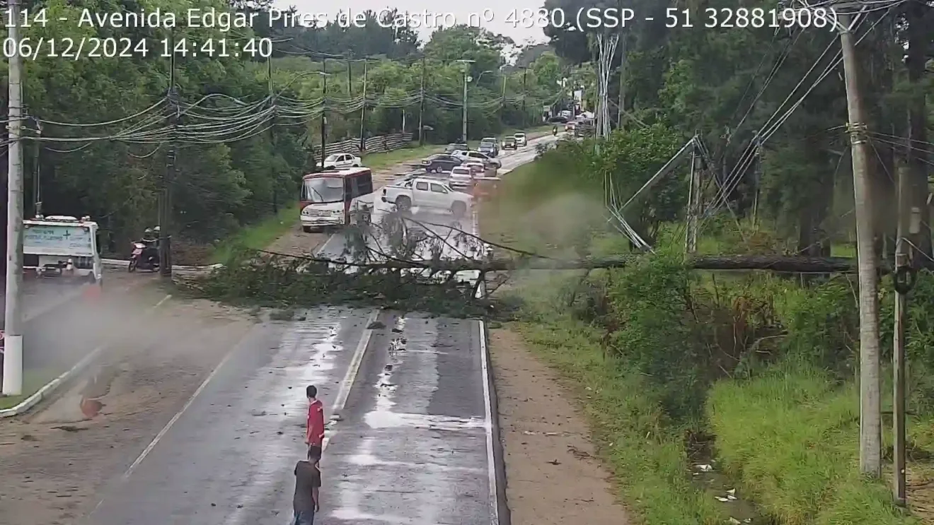 Queda de árvore na Avenida Edgar Pires de Castro, bairro Chapéu do Sol, zona sul de Porto Alegre, com tráfego interrompido.