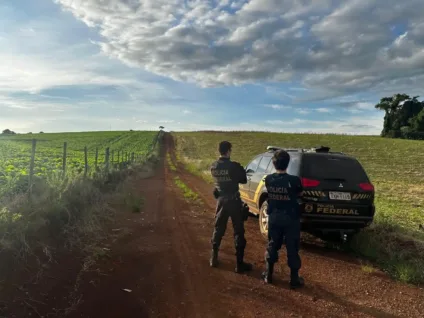 Agentes da Polícia Federal na Operação Denarius.Eles estão em meio a uma área rural, observando as plantações.