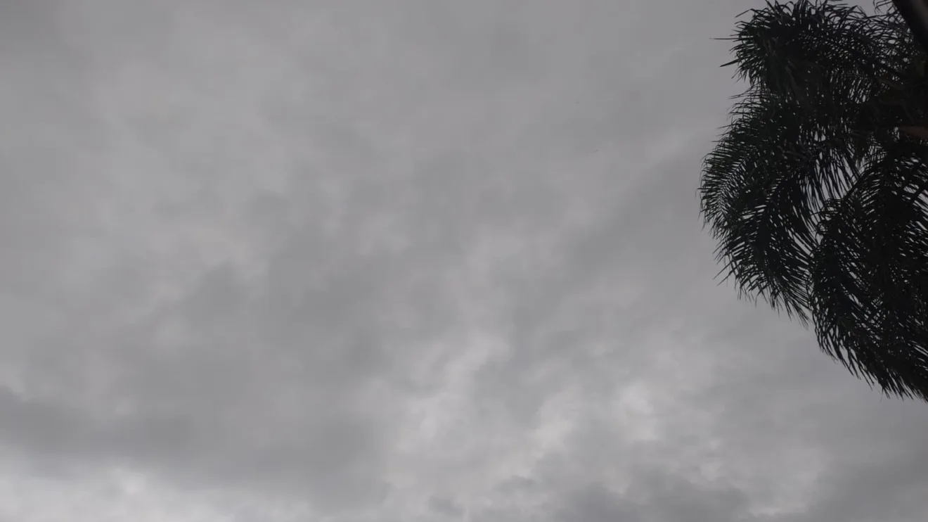 Céu nublado mas sem chuva, com o topo de uma palmeira no canto da imagem