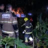 Bombeiros atuando no combate a um incêndio na vegetação do Parque Marinha do Brasil, em Porto Alegre, durante a madrugada.