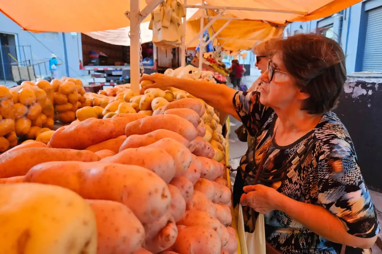 Mulher escolhendo batatas em feira livre, cercada por diversas variedades de batatas frescas em um mercado ao ar livre, com barraca colorida ao fundo.