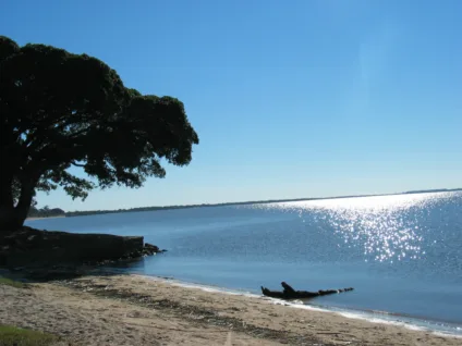 Praia tranquila com água refletindo a luz do sol e árvore à beira da Lagoa dos Patos, em São Lourenço do Sul.