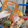 Imagem de um carrinho de supermercado cheio de alimentos congelados, com destaque para a embalagem de empanadinhos em mãos de uma pessoa usando luvas.