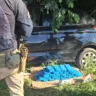 Apreensão de cocaína em Taquara, com agentes da PRF ao fundo observando os tabletes de cocaína em meio à vegetação.