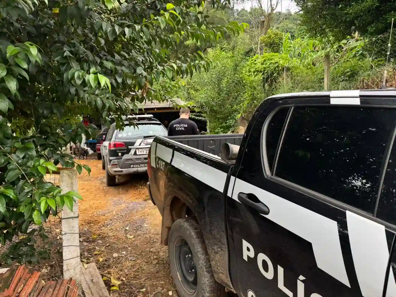 Imagens de veículos da Polícia Civil em ação, mostrando a presença policial em uma área rural. A operação é caracterizada por carros de polícia e agentes em serviço.