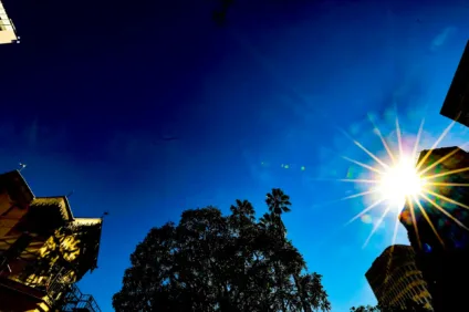 Vista do céu aproveitando a luz do sol no centro de Porto Alegre, destacando as copas das árvores e edifícios ao redor.