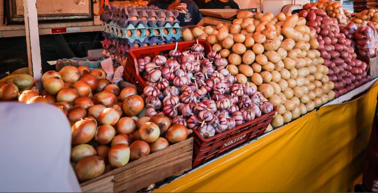 Barracas da Feira Livre no Largo Zumbi dos Palmares em Porto Alegre, exibindo uma variedade de legumes e cebolas frescas