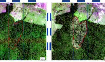 Foto: Imagem satélite MapBiomas/Divulgação