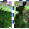 Foto: Imagem satélite MapBiomas/Divulgação