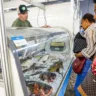 Duas mulheres olham um balcão, da Feira do Peixe de Porto Alegre.