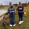 Ações são realizadas por fiscais agropecuários e técnicos agrícolas da Seapi - Foto: Ascom Seapi/Divulgação
