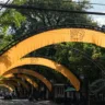 Arcos sob o túnel verde de tipuanas já exibem a identidade visual do evento - Foto: Luís Alexandre