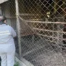 Crédito: Ascom Seapi/Divulgação