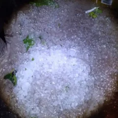 Granizo em Sant'Ana do Livramento - Foto: Divulgação