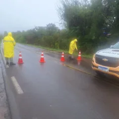 Crédito: CRBM / Divulgação