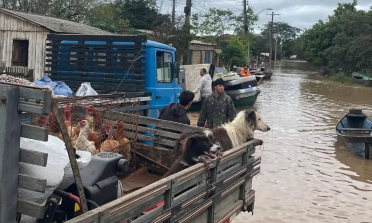 Em Cachoeira do Sul, famílias retiram móveis e animais da área alagada. Crédito: Prefeitura de Cachoeira do Sul / Divulgação (via Facebook)