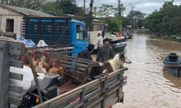 Em Cachoeira do Sul, famílias retiram móveis e animais da área alagada. Crédito: Prefeitura de Cachoeira do Sul / Divulgação (via Facebook)
