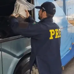 Foto: Reprodução de vídeo da PRF / Divulgação