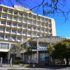 Foto: Rochele Zandavalli/UFRGS - Arquivo
