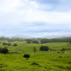 Frio em Morrinhos do Sul. Crédito: Prefeitura de Morrinhos do Sul / Divulgação