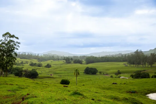 Frio em Morrinhos do Sul. Crédito: Prefeitura de Morrinhos do Sul / Divulgação