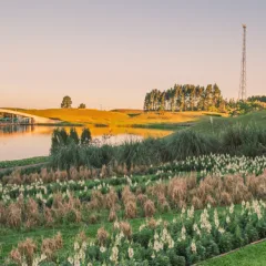 Crédito: Mátria Parque de Flores / Divulgação