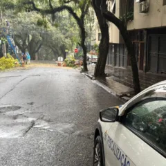Queda de árvore na Ten. Cel Fabrício Pillar. Crédito: EPTC / Divulgação