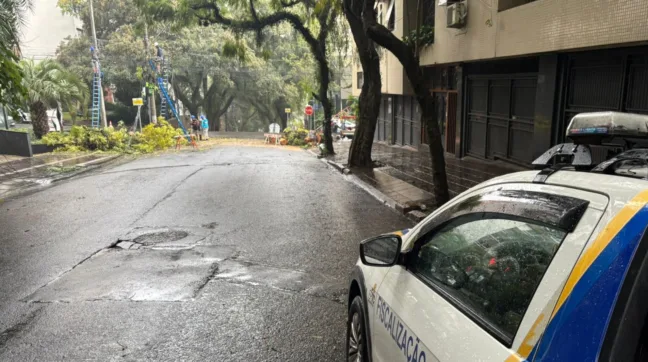 Queda de árvore na Ten. Cel Fabrício Pillar. Crédito: EPTC / Divulgação