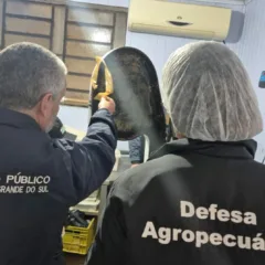 Crédito: MP-RS / Divulgação