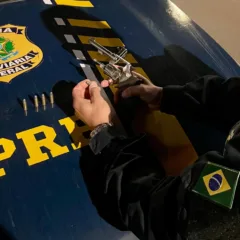 Crédito: PRF / Divulgação