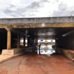 Foto: PMPA/Divulgação