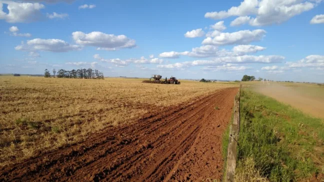 Plantio da soja está autorizado a partir de primeiro de outubro - Foto: arquivo Emater/RS-Ascar