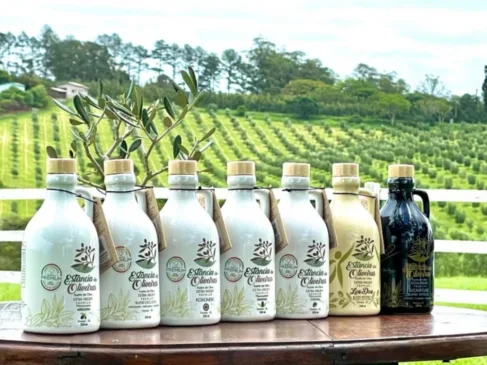 Estância das Oliveiras atingiu 93 pontos na avaliação dos especialistas - Foto: Divulgação Sict