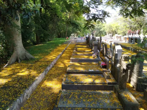 Cemitério Municipal São João - Foto: Sérgio Louruz/SMAMS PMPA