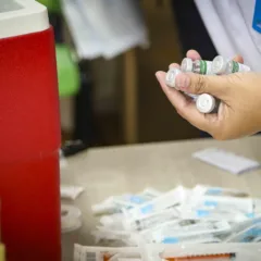 Foto: Cristine Rochol/PMPA