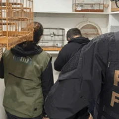 Foto: PF / Divulgação