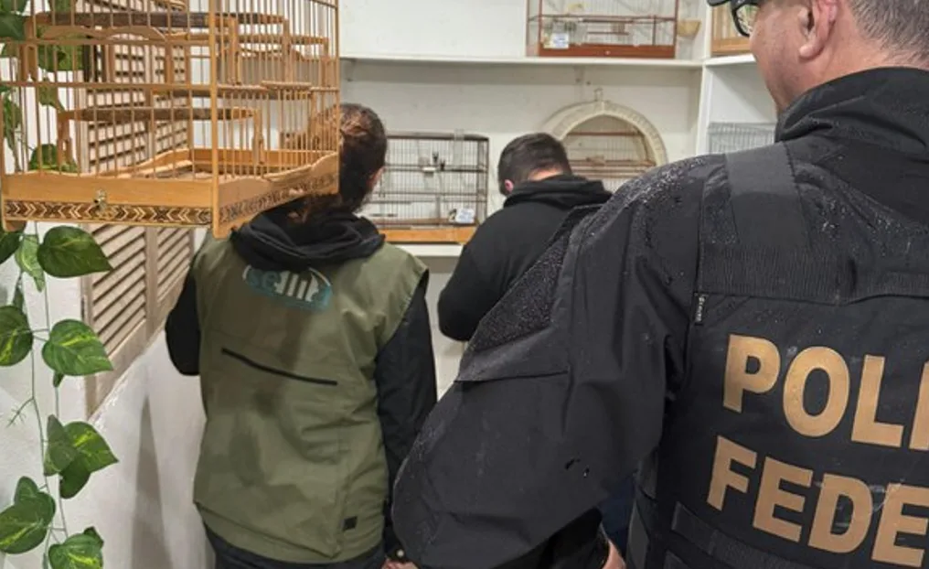 Foto: PF / Divulgação