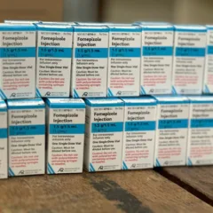Medicamento, considerado raro e de alto custo, atua bloqueando uma enzima do fígado
Foto: Guga Stefanello/Ascom SES
