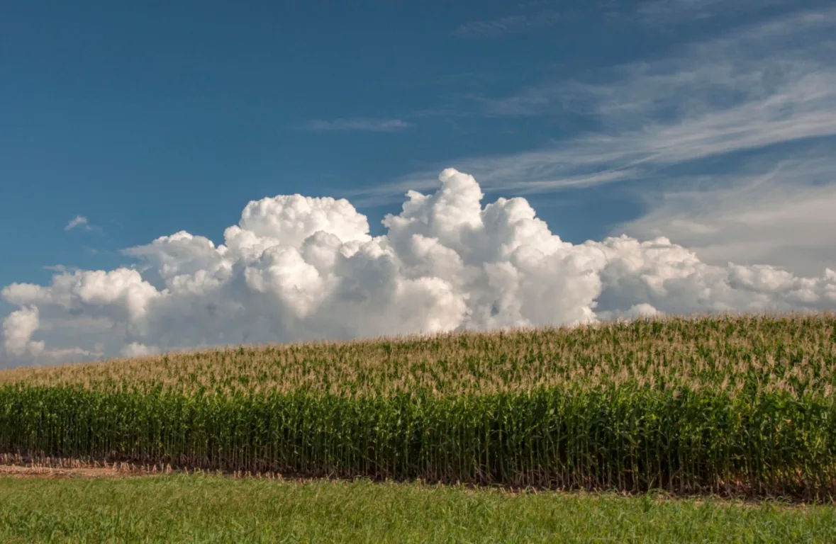 Crédito: Fernando Dias / SEAPDR (arquivo)