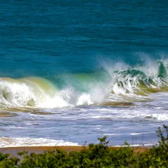 Foto: Eduardo Valente/GOVSC  
