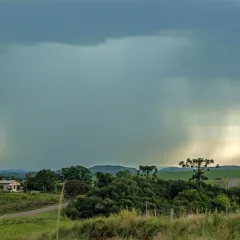 Cr&eacute;dito: Fernando Dias/ Ascom Seapi